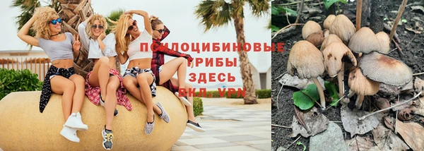 2c-b Кукмор