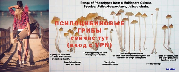 метадон Кулебаки