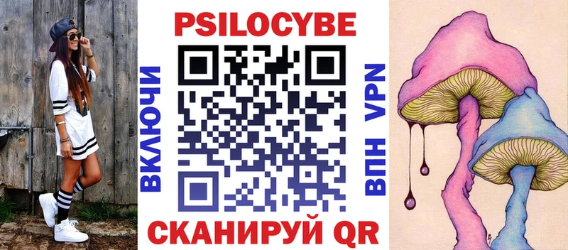 ссылка на мегу как войти  хочу   Коркино  Галлюциногенные грибы Psilocybe 