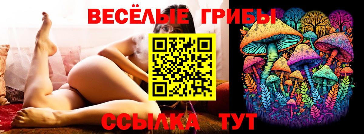 Галлюциногенные грибы Cubensis Коркино
