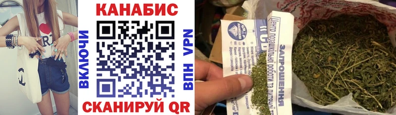 Канабис сатива Коркино